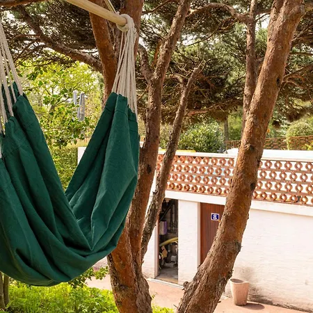 Le Pic アパート *